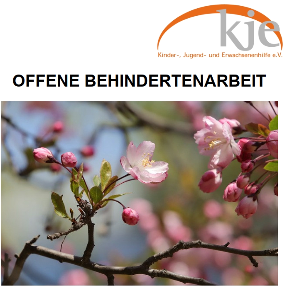 Neues Programm der offenen Behindertenarbeit bis Juni 2025