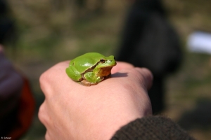 Abenteuer Moor