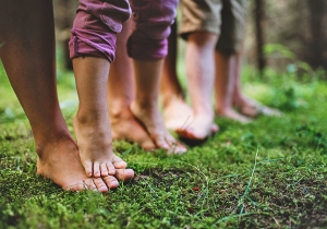 Wildkräuterwanderung für Familien mit Kindern ab 4 Jahren