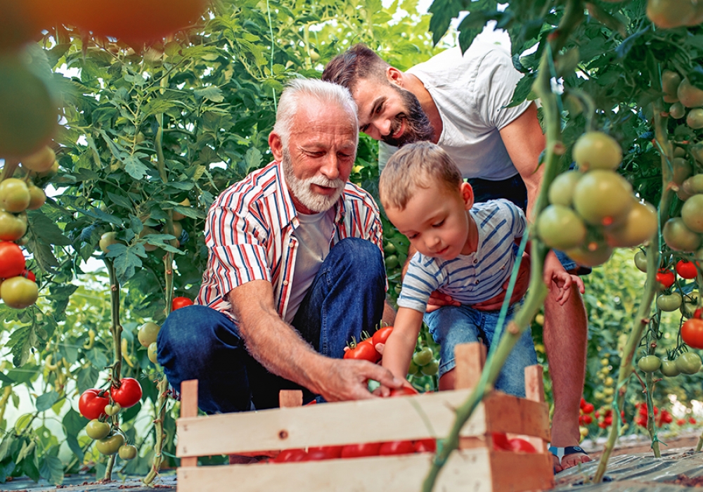 Ernährung &amp; Bewegung